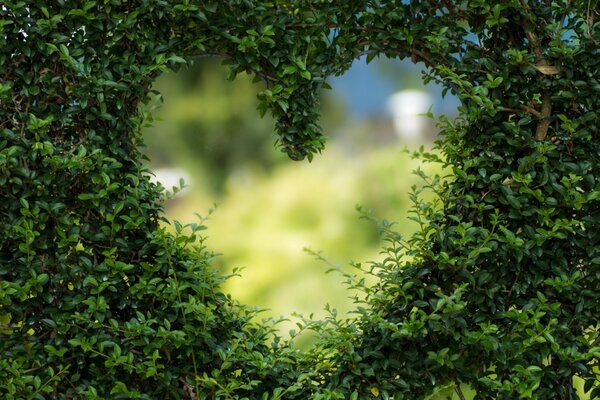 EFSA organises Green Retail Days